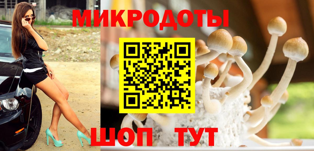 Псилоцибиновые грибы Psilocybine cubensis  Вход с VPN  купить закладку  Псилоцибиновые грибы Magic Shrooms  Майский 